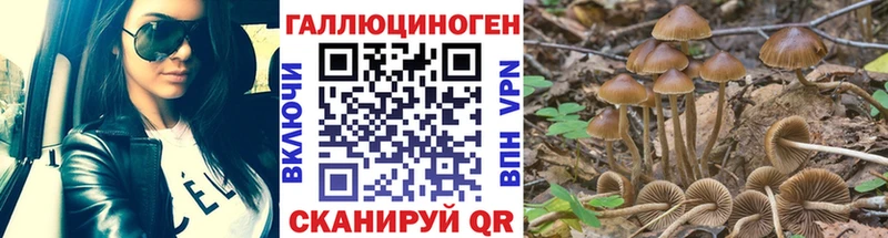 Галлюциногенные грибы Cubensis Опочка